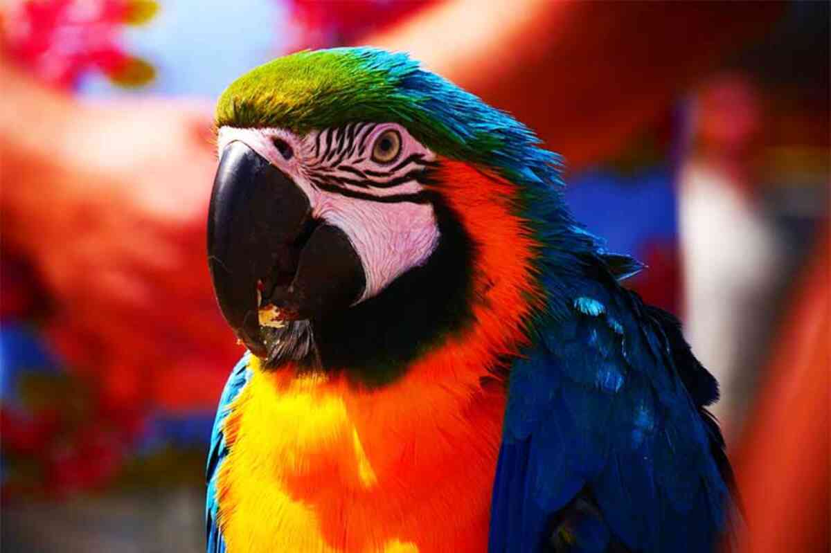 renk nedir ana ara sicak soguk ve zit renkler nelerdir permolit boya