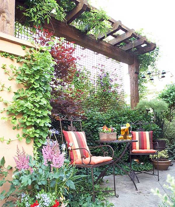 rengarenk çiçeklerle süslenmiş çitler Bahçe Bitkileri