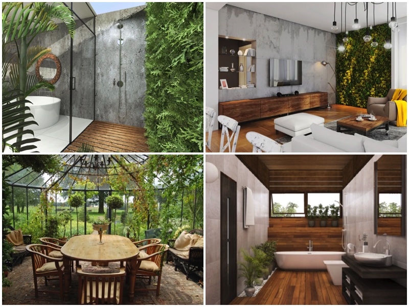 Biyofilik Ev Tasarımı