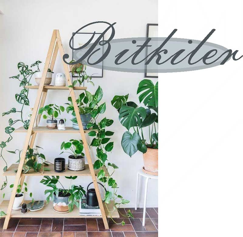 kiracılar için mükemmel dekorasyon fikirleri