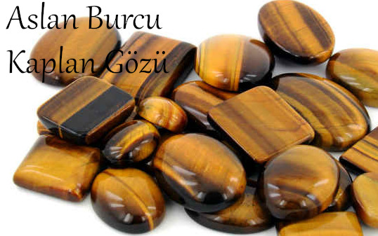 Aslan Burcu: Kaplan gözü