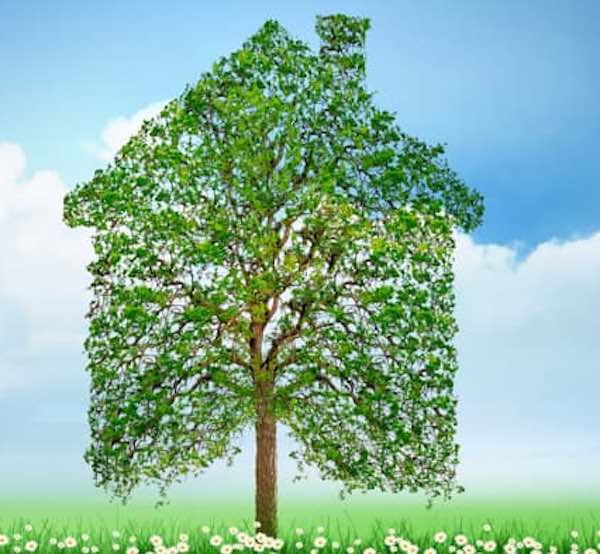 Çevre Dostu Ev Dekorasyonu