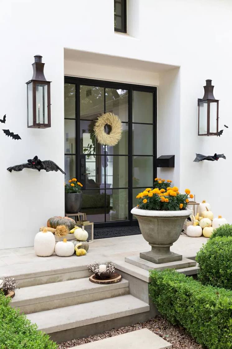 Sonbahar, saksı bahçeciliği için harika bir zamandır.