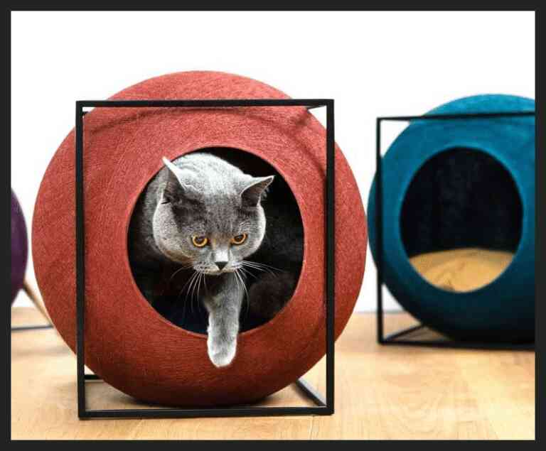 Evcil Hayvan Mobilyaları Kedi Köpek Mobilyaları PERMOLİT