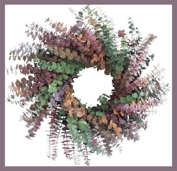 Bebek okaliptus çelengi