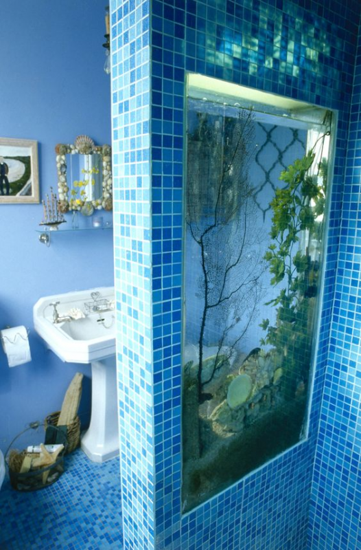 akvaryum tasarımları,